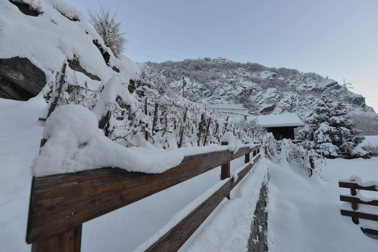 Au Berceau Du Bien-Etre Villa Chambave Eksteriør bilde
